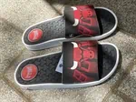 bulls