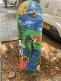 קרש 8.5 black market