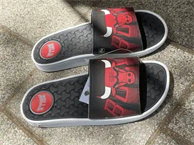 bulls