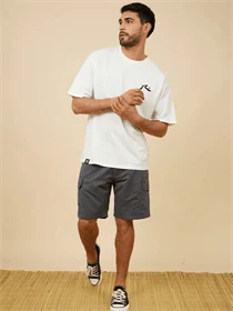 דגמח ראסטי אפור